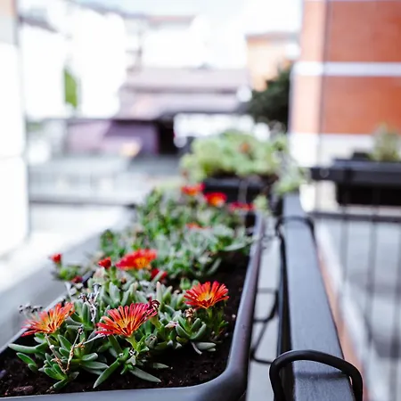 Independent מלון